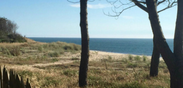 Nos propos sont-ils plus éloquents que nos actes?