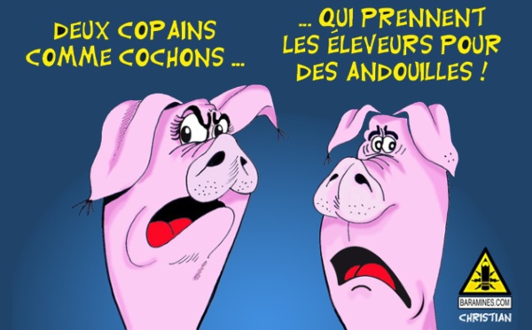 Cochon qui s'en dédit!
