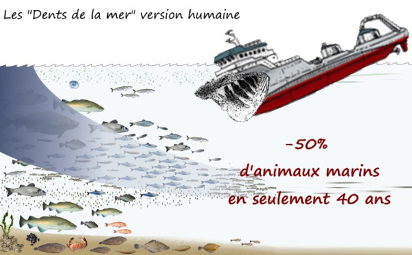 Les dents de la mer humaines