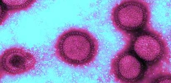 Pourquoi une si faible efficacité du vaccin anti-grippe 2014-2015?