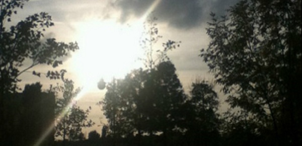 La Roumanie avance dans la lutte pour un monde plus vert