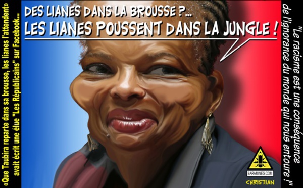 Taubira, cible des racistes sur Facebook