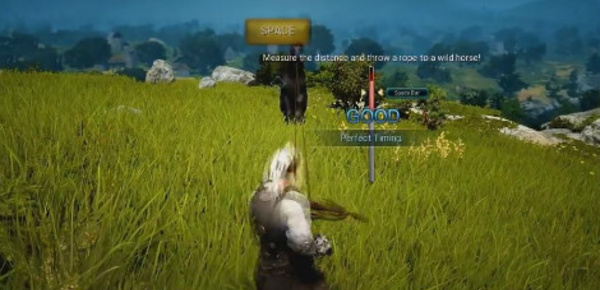 Black Desert Online