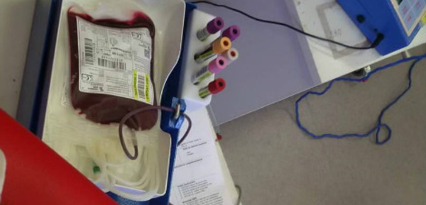 Don du sang des personnes homosexuelles