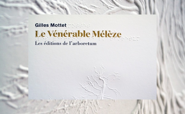 "Le vénérable mélèze"