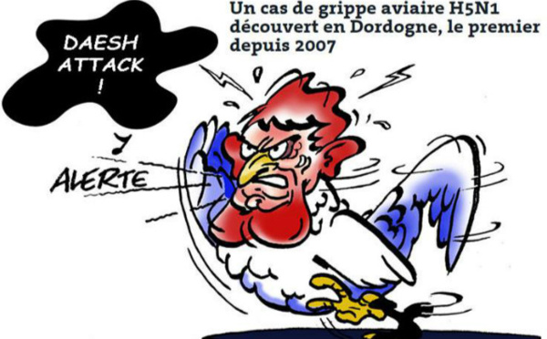 Panique au poulailler