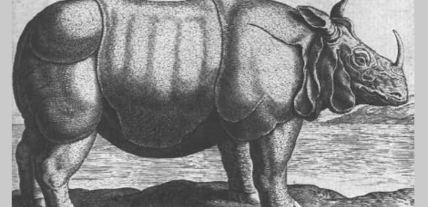 Dobrynya, Philae, YenYen... histoire des animaux offerts à la France