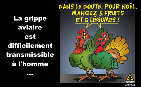 Pas dingues les dindes