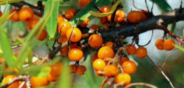 Comment lutter contre la fatigue hivernale?