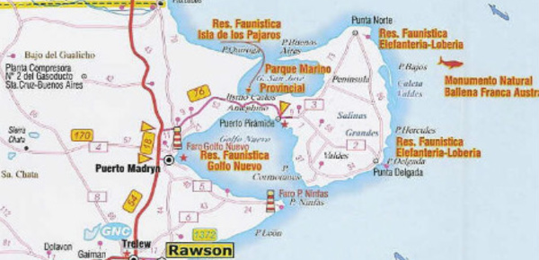 Puerto Madryn, la Patagonie atlantique