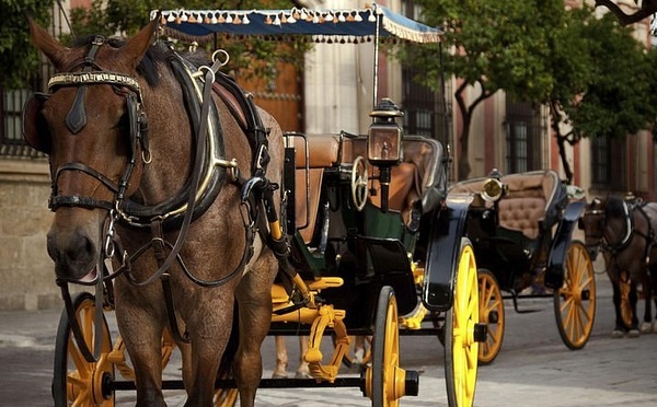 Fin des calèches à Carthagène des Indes 