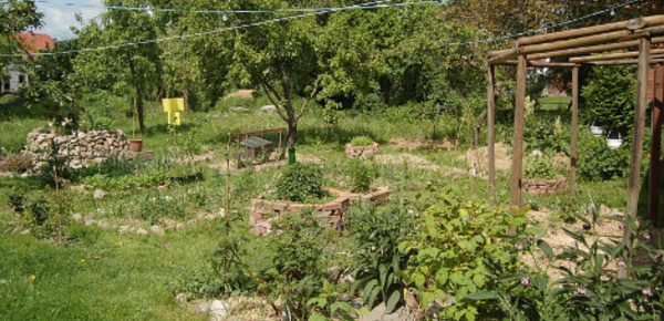 Permaculture, première partie: qu'est-ce que c'est?