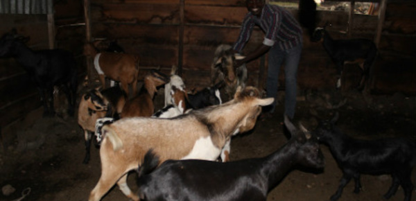 RDC: Des ex-enfants soldats se construisent une vie loin de la kalachnikov - 1