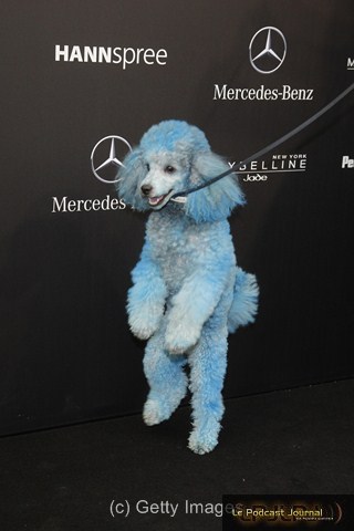 FW_NASS_041.JPG FW_NASS_041.JPG