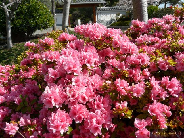 (c) Molly Brown (c) Molly Brown