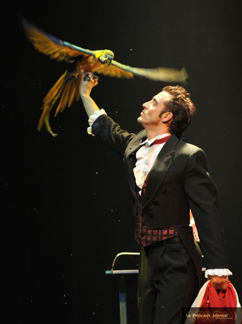 Magic Stars2_1.JPG Magic Stars2_1.JPG