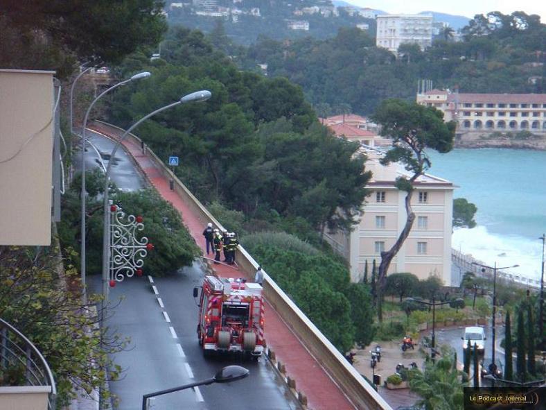 Un arbre couche sur la voie rapide - Tempête ce matin !!! Envoyée le 16:12/2008 par the.bee Un arbre couche sur la voie rapide - Tempête ce matin !!! Envoyée le 16:12/2008 par the.bee
