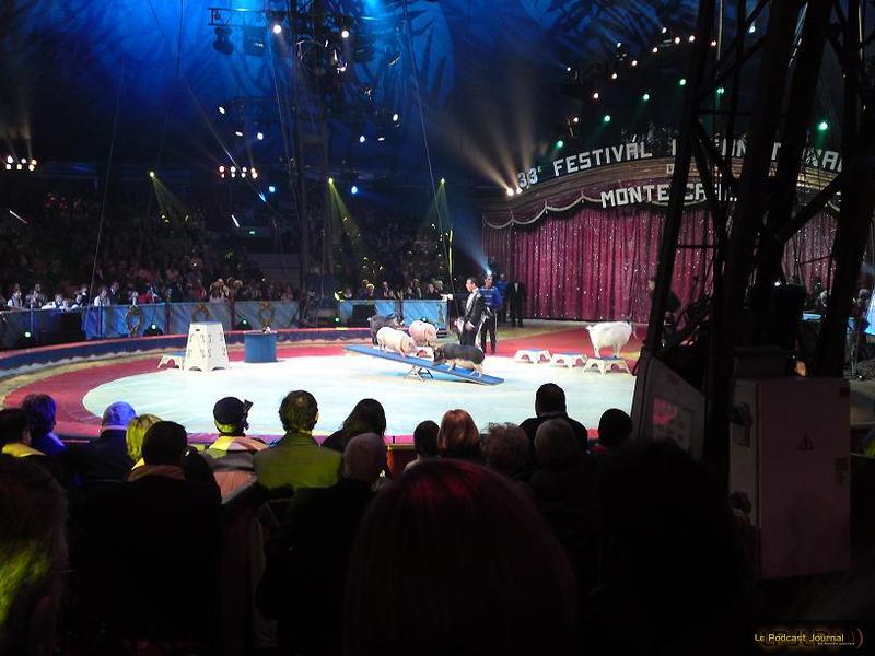 Festival du Cirque Festival du Cirque