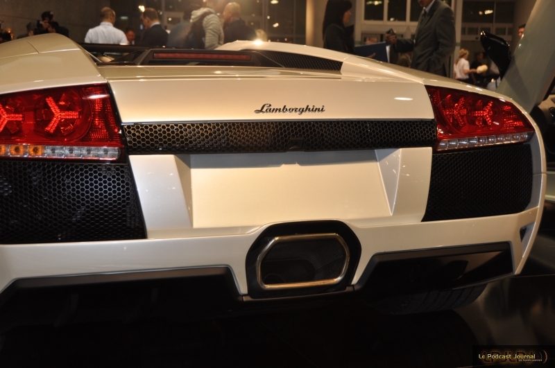 DSC_0131.JPG DSC_0131.JPG