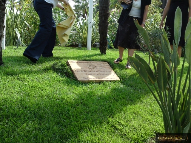 (c) CAP 3D (c) CAP 3D