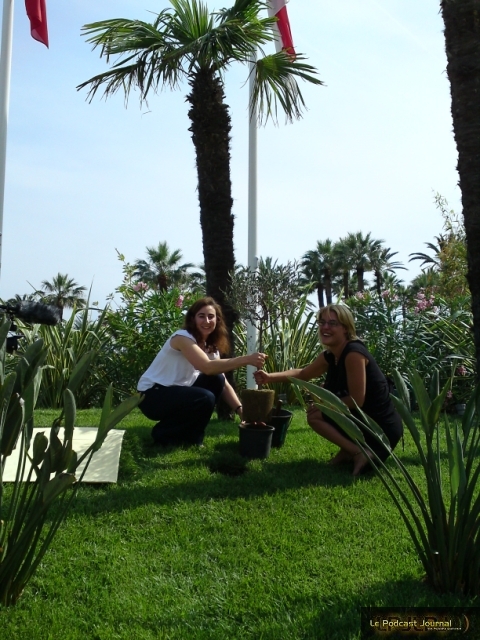 (c) CAP 3D (c) CAP 3D