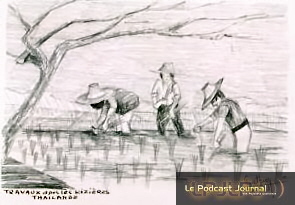 travaux dans les rizières, encre sur papier ,21X29 sbd 16 09 93.jpg travaux dans les rizières, encre sur papier ,21X29 sbd 16 09 93.jpg