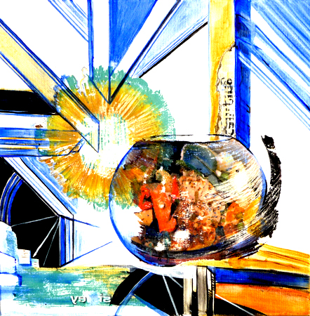 TRANPARENCE TRANPARENCE