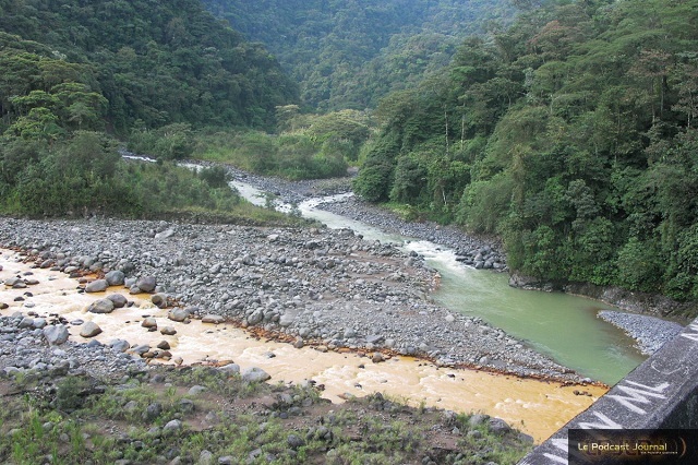 PICT4577.JPG PICT4577.JPG