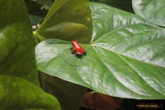 PICT4665.JPG PICT4665.JPG