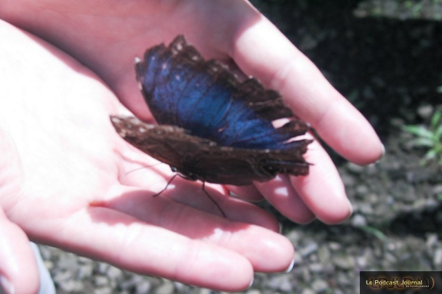 PICT4692.JPG PICT4692.JPG