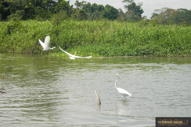 PICT4719.JPG PICT4719.JPG