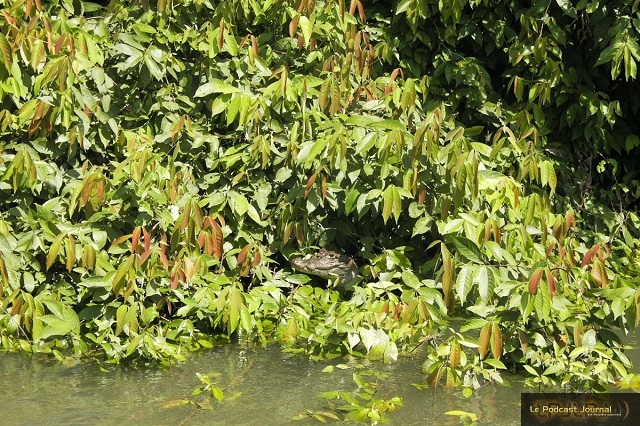 PICT4756.JPG PICT4756.JPG