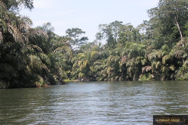 PICT4778.JPG PICT4778.JPG