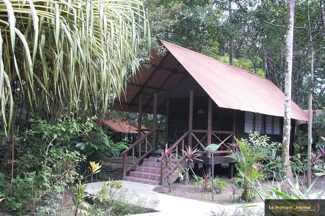 PICT4800.JPG PICT4800.JPG