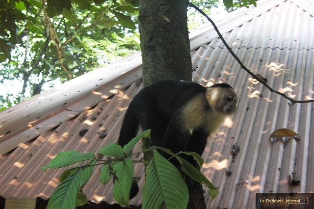 PICT4806.JPG PICT4806.JPG