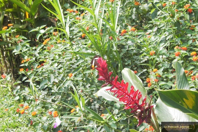 PICT4813.JPG PICT4813.JPG