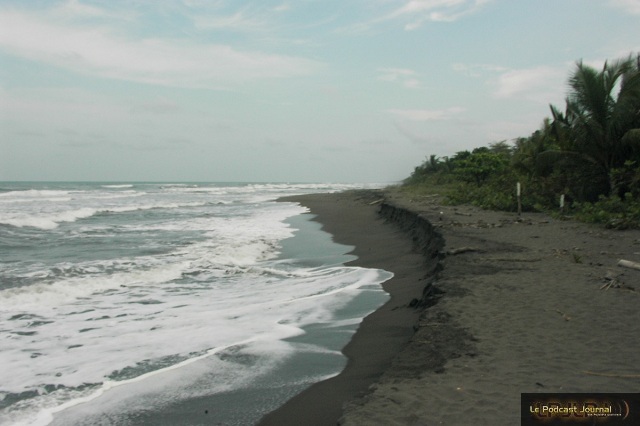 PICT4859.JPG PICT4859.JPG