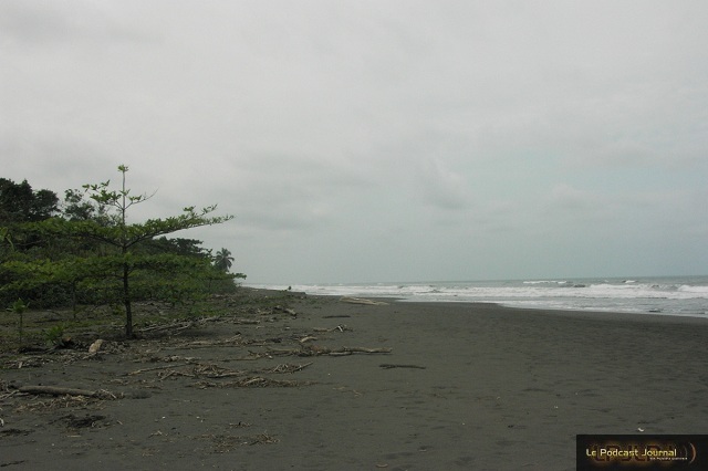 PICT5141.JPG PICT5141.JPG